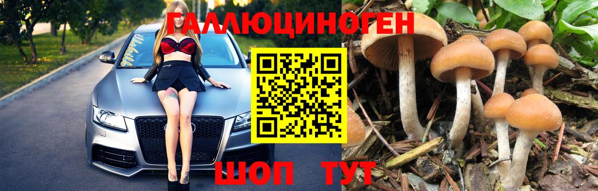 Псилоцибиновые грибы мухоморы  Вход с VPN  Галлюциногенные грибы Psilocybine cubensis  Чебоксары 